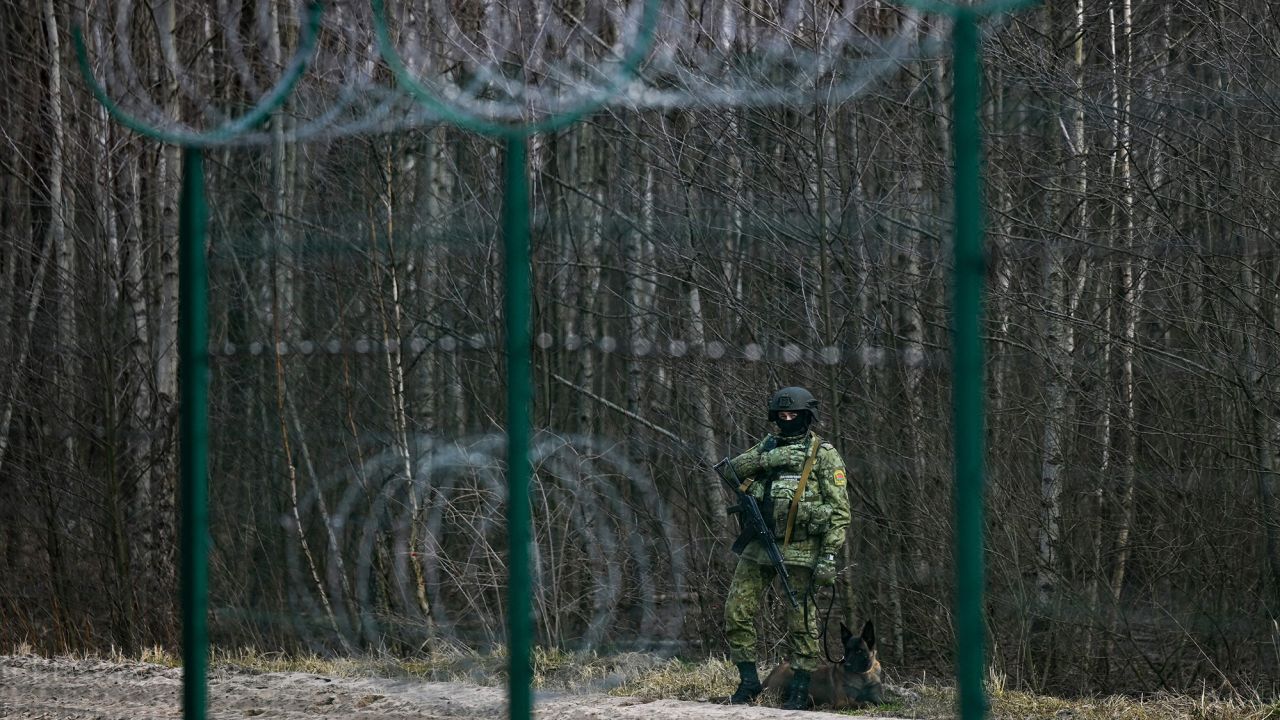 Belarus Unveils Border Forest Access for Ukrainian Citizens