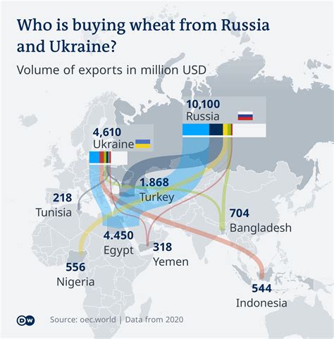 Russia’s Grain Exports to China Jump 47% in Value, Reaching $227 Million in First Seven Months of 2026