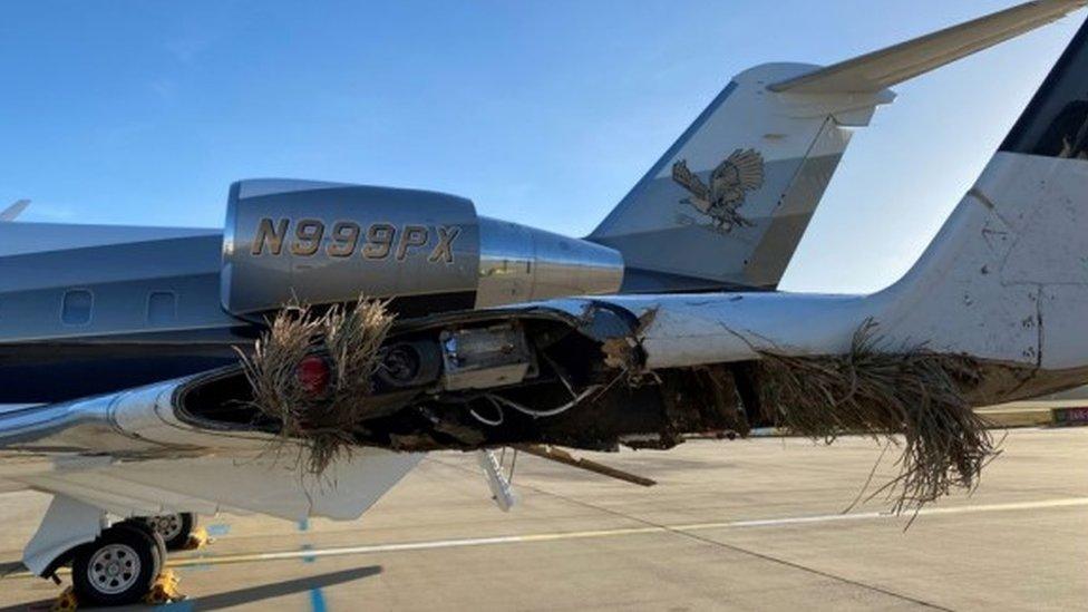 Plane Collides with Pole at Srinagar Airport; No Injuries Reported