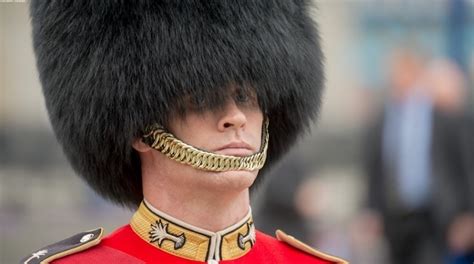 UK Parliament Deputies Call for Immediate Replacement of Natural Bear Fur in Royal Guards Hats