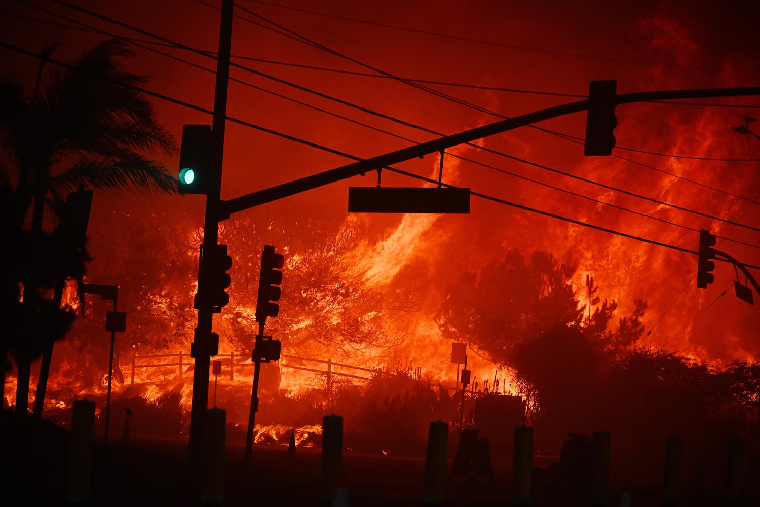 California Wildfire Rapidly Expands to Over 40 Hectares in Less Than an Hour